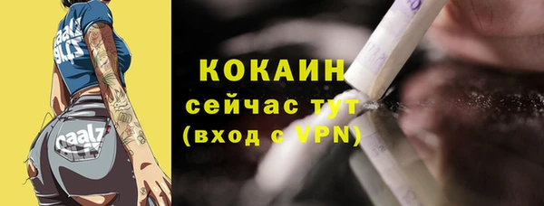 гидра Приозерск