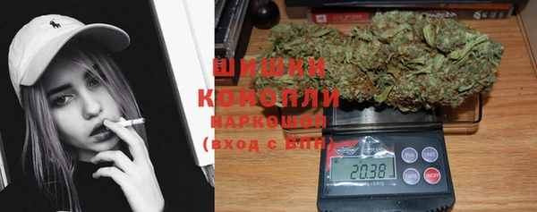 Альфа ПВП Протвино
