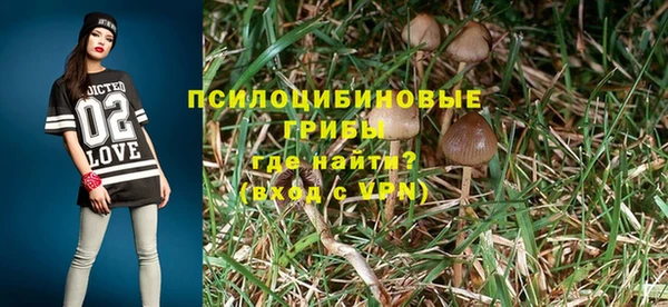мескалин Пролетарск