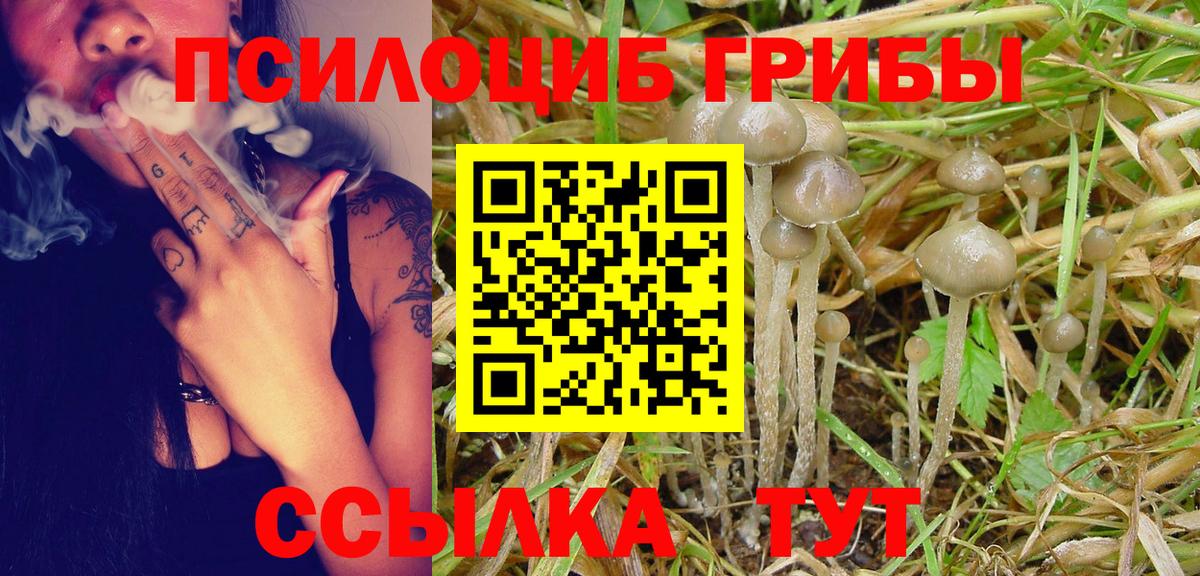 Галлюциногенные грибы Cubensis  Галлюциногенные грибы MAGIC MUSHROOMS  Вход с VPN  Ирбит 
